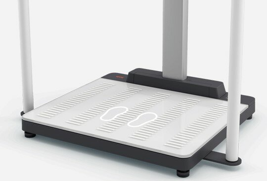 Seca 655 voeten